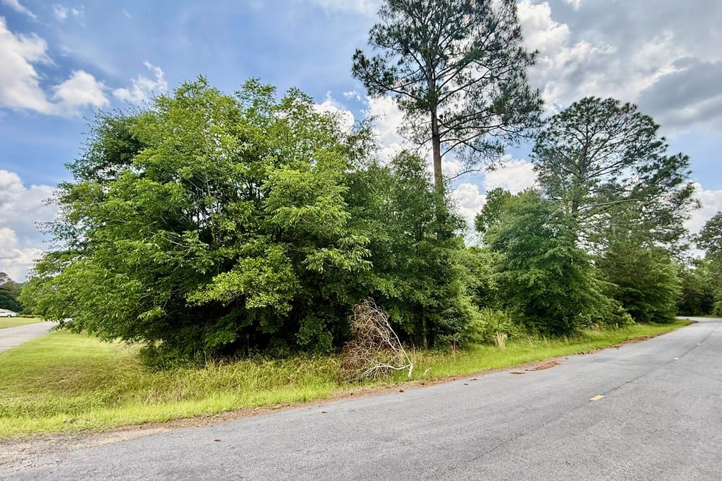 47 Craftway Dr, Hawkinsville, GA 31036