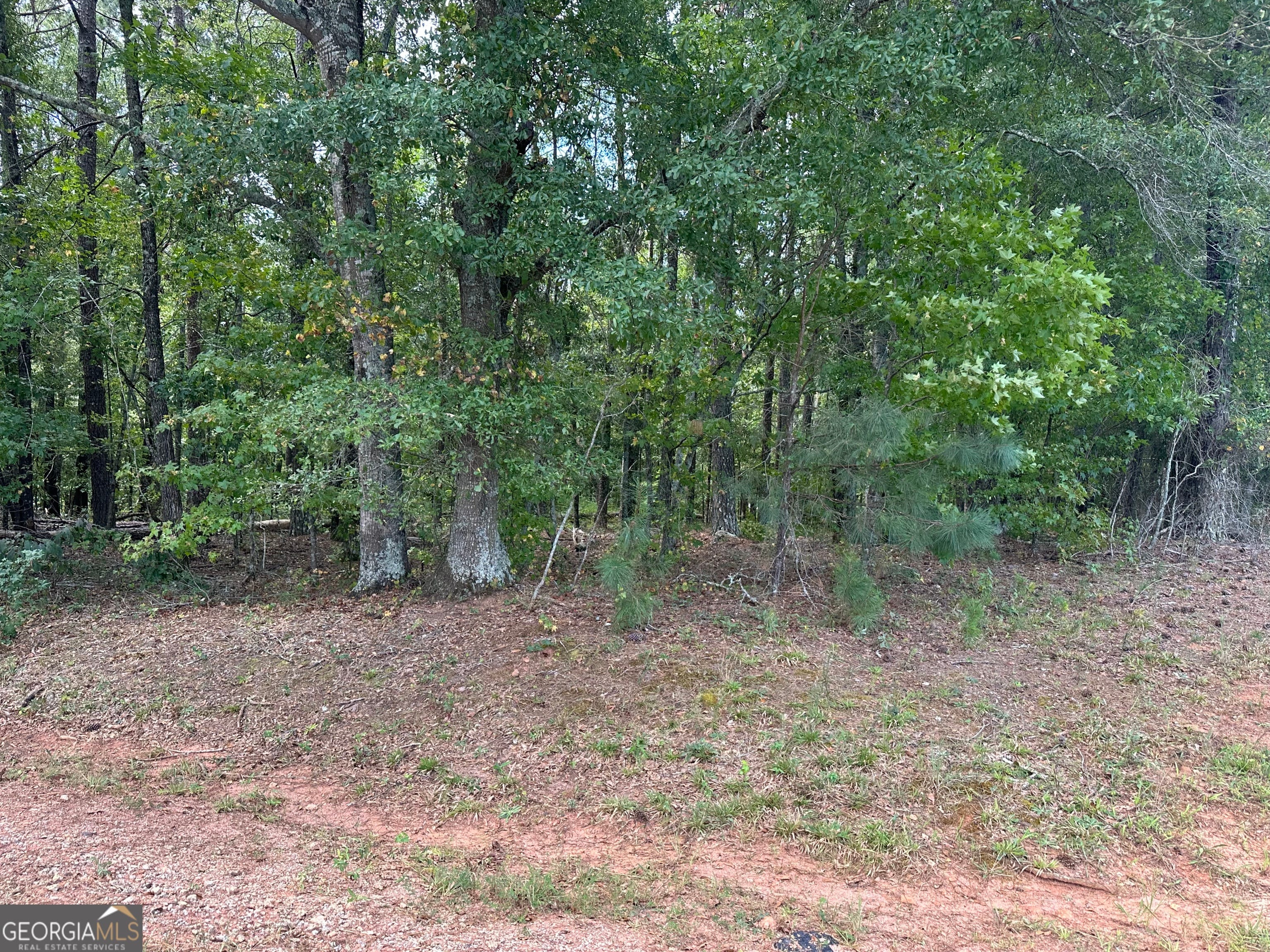 0 Teasley Trail, Moreland, GA, 30259