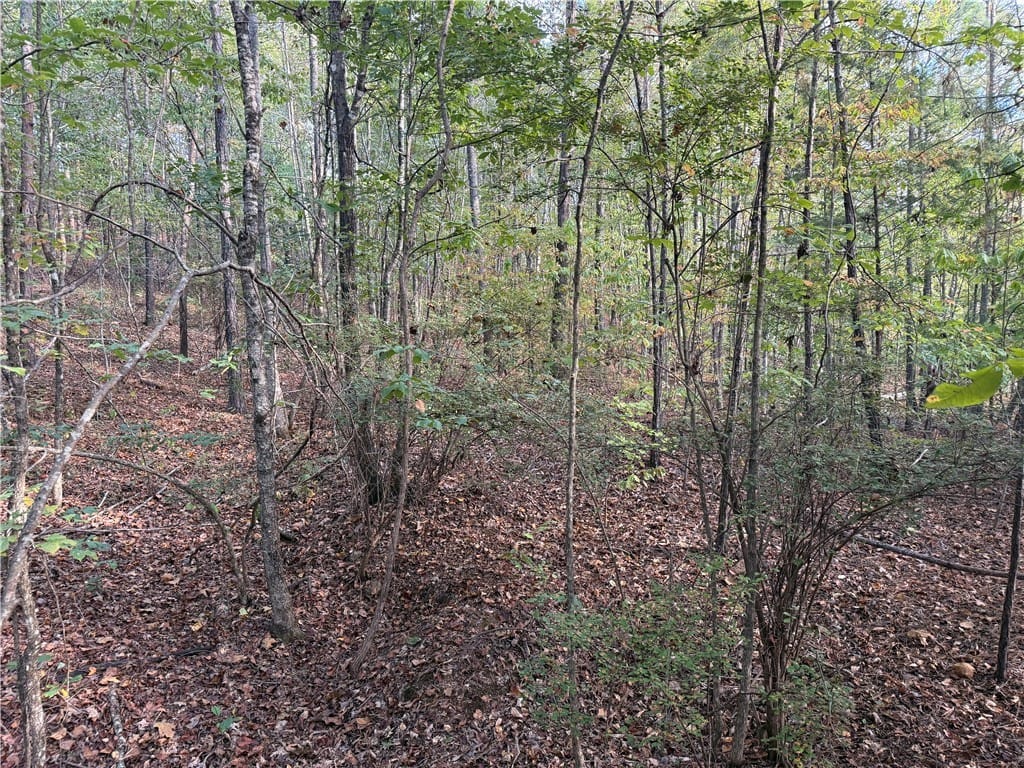 0 COUNTY ROAD 118, Rockford, AL, 35136