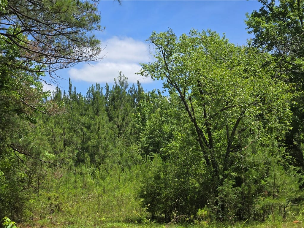 00 WIRE, Notasulga, AL, 36866