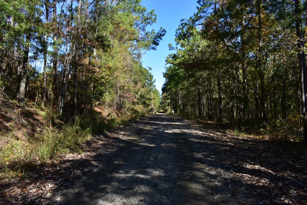 Lot 7B Mulberry Estates, Fortson, GA, 31808 — Photo 3