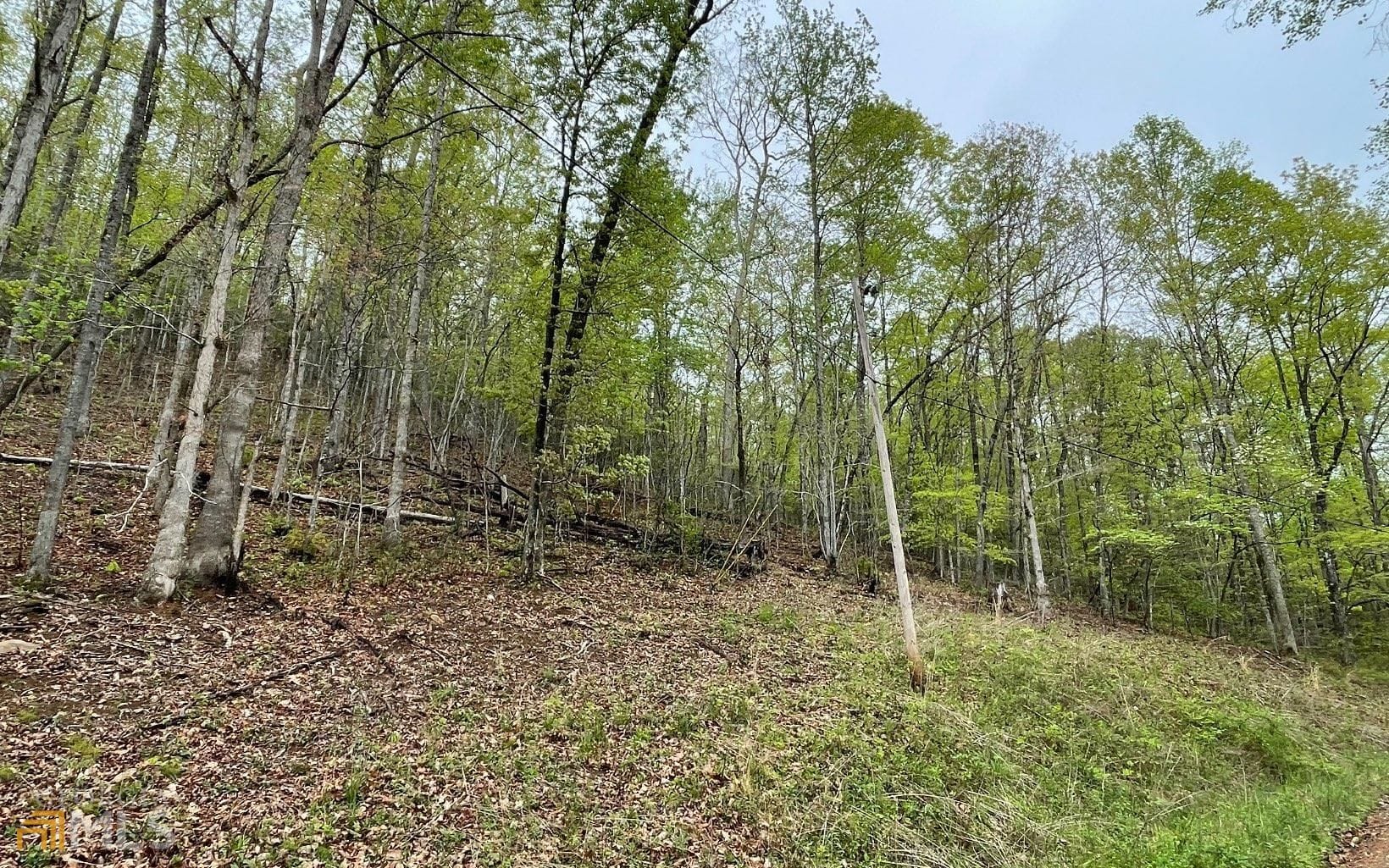 31 Nelson Ridge Road, Hayesville, NC, 28904