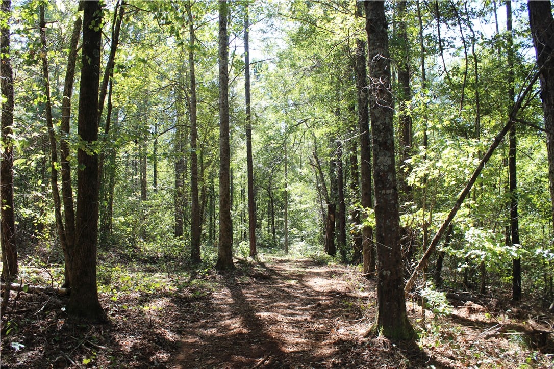 0 EAST MILL, Goodwater, AL, 35072