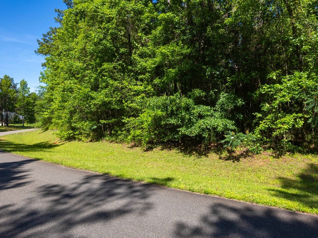 17 Hidden Lake Ct, Pine Mountain, GA 31822