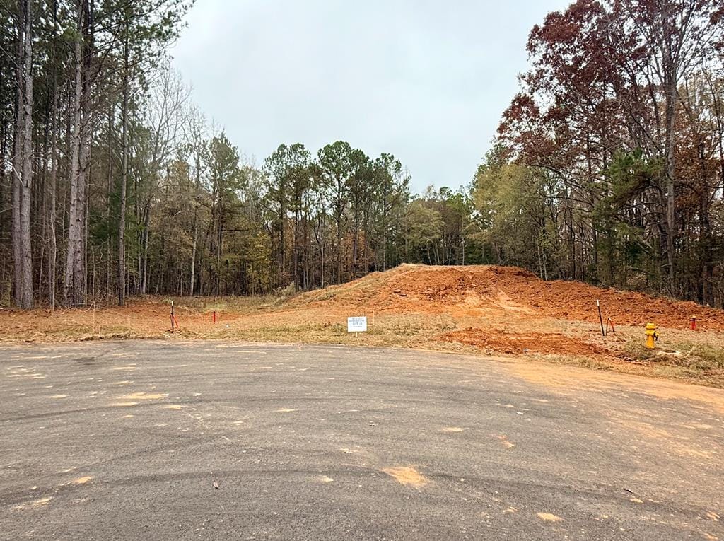 15 Rolling Meadows Way, Waverly Hall, GA, 31831