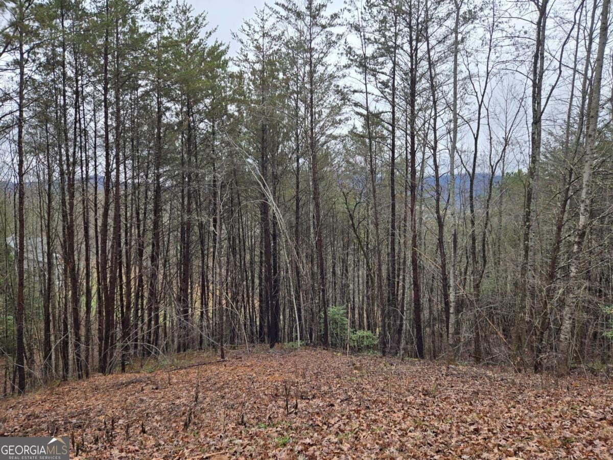 101 Eagles View Dr, Hayesville, NC 28904