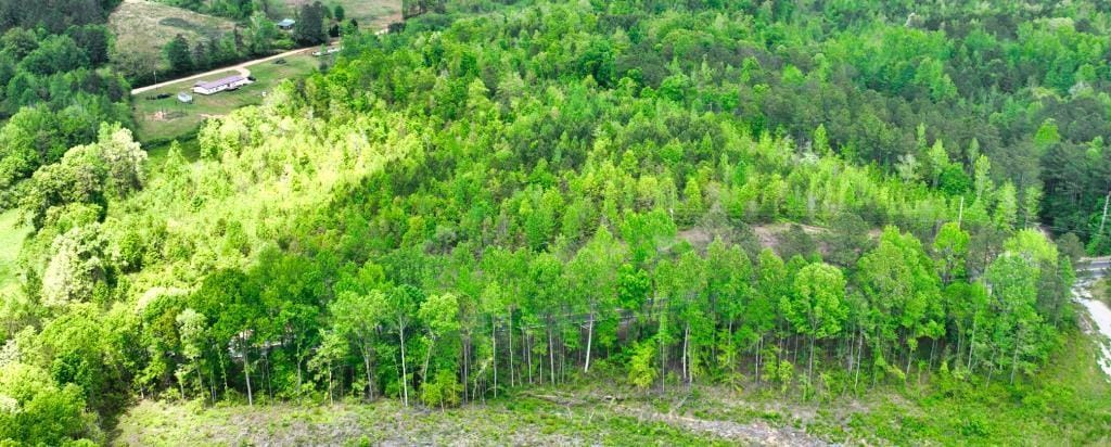 0 Highway 48, Wedowee, AL, 36278 — Photo 3