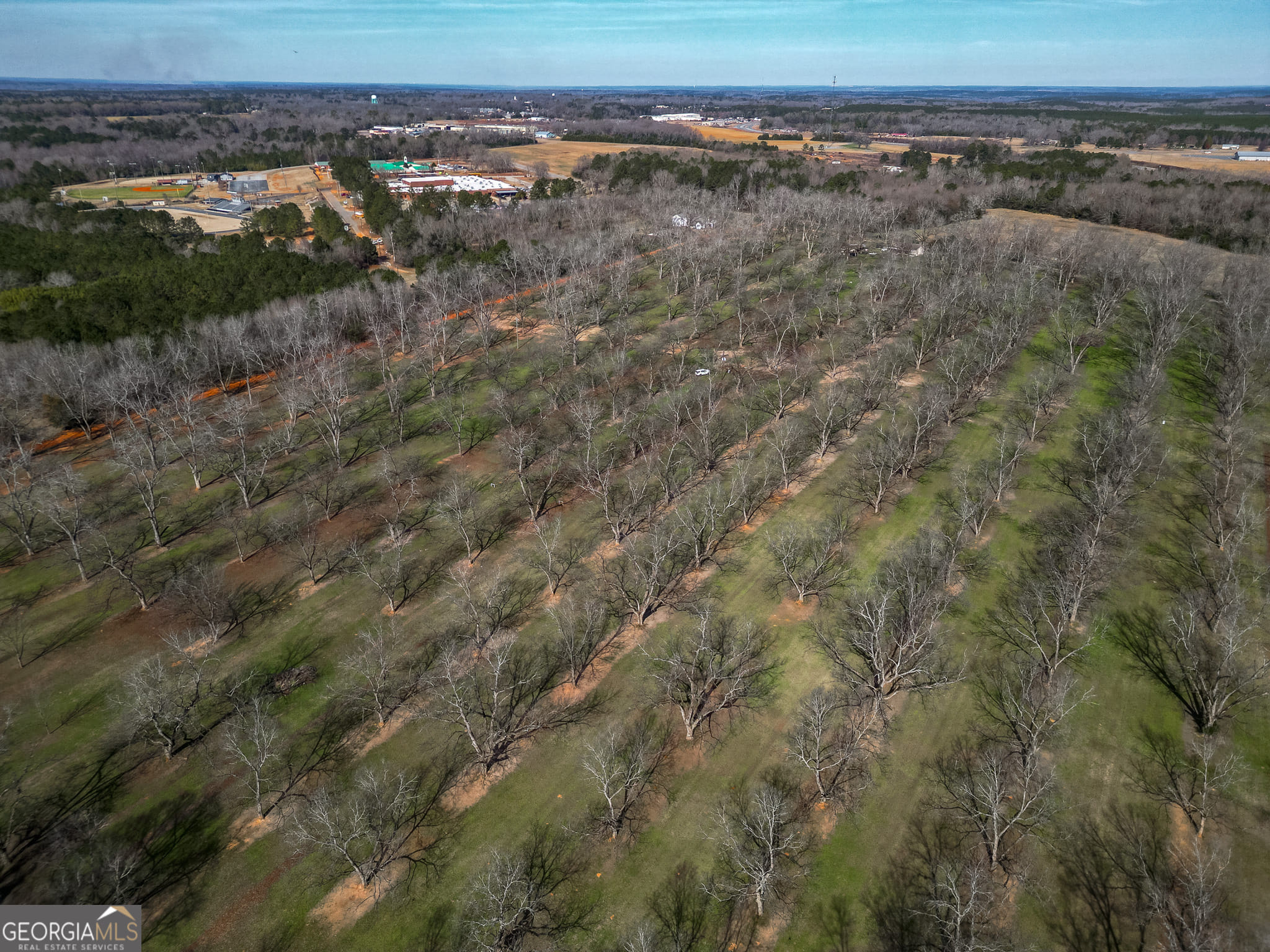 0 Old Hwy 19 South, Ellaville, GA, 31806