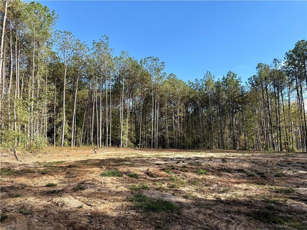 367 US HWY 169 South, Seale, AL, 36875