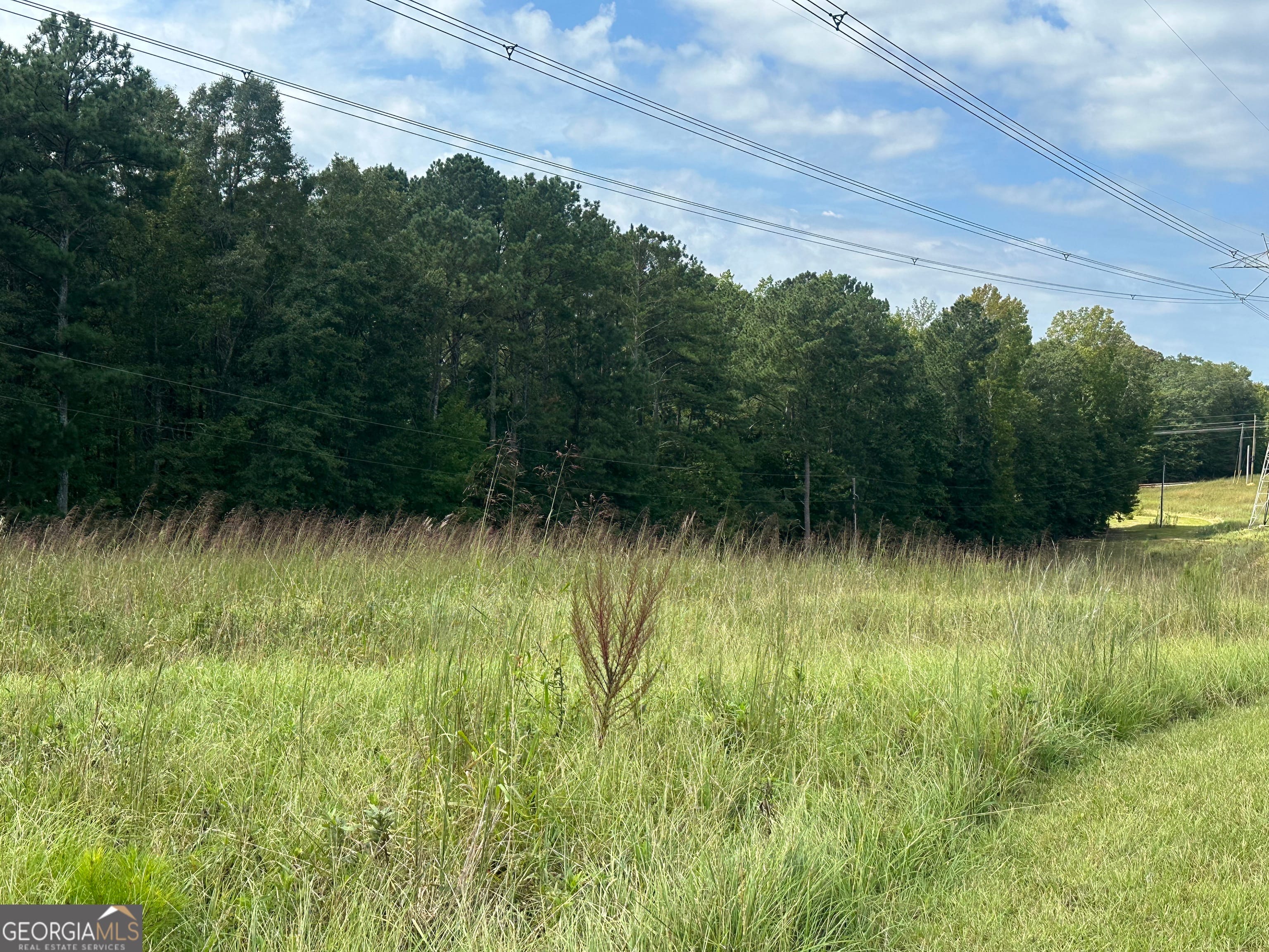 0 Teasley Trail, Moreland, GA 30259
