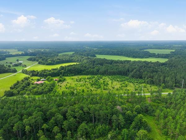 n/a Holman Road, Leslie, GA, 31764