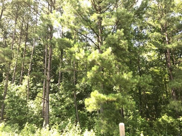 0000 Johnson Mill Road, Hamilton, GA, 31811 — Photo 3