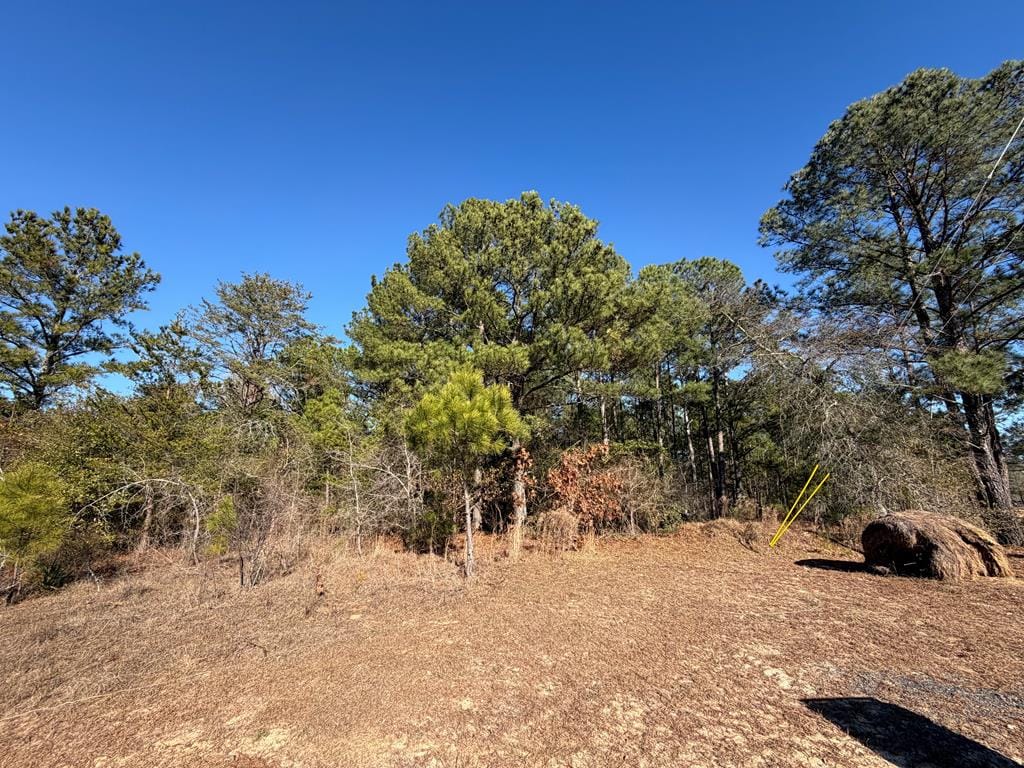 000 Bridle Path Lane, Box Springs, GA, 31801 — Photo 3