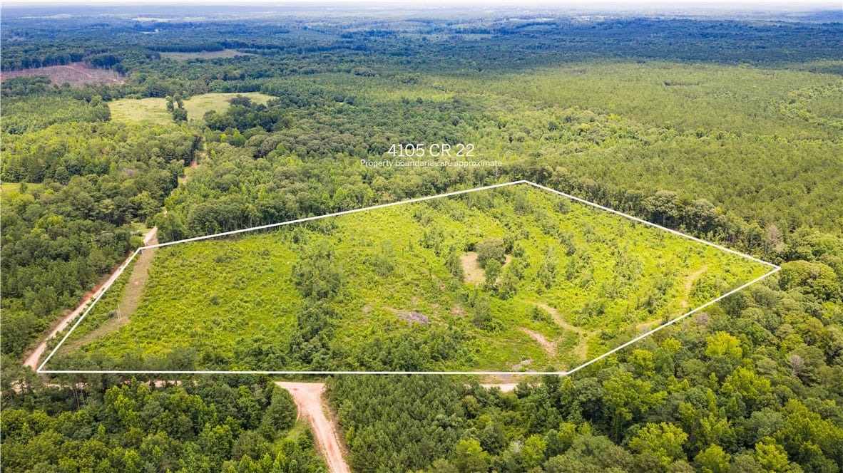 4105 COUNTY ROAD 22, Waverly, AL, 36879