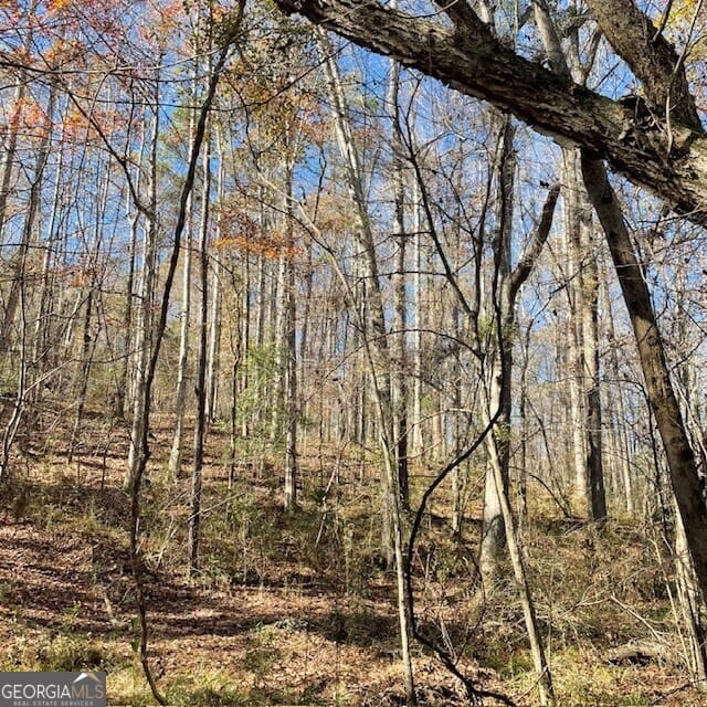 Pineville Rd, Buena Vista, GA