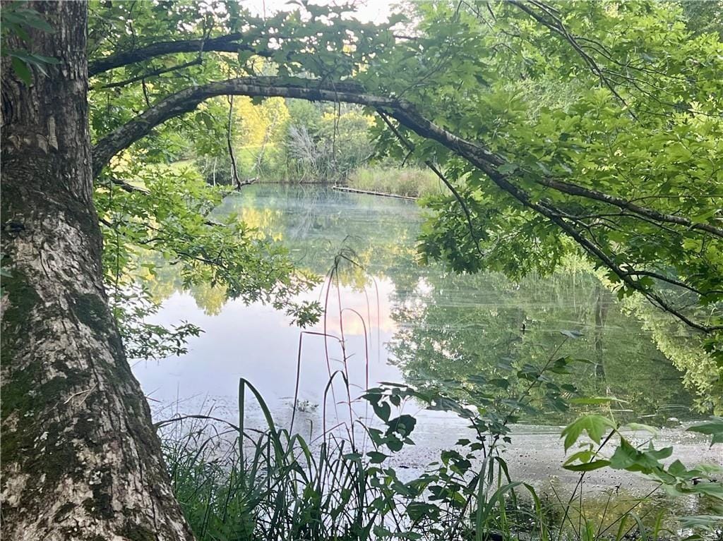 414 Lee Road 260, Opelika, AL, 36804 — Photo 3