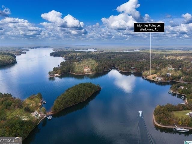 Wedowee, AL 36278