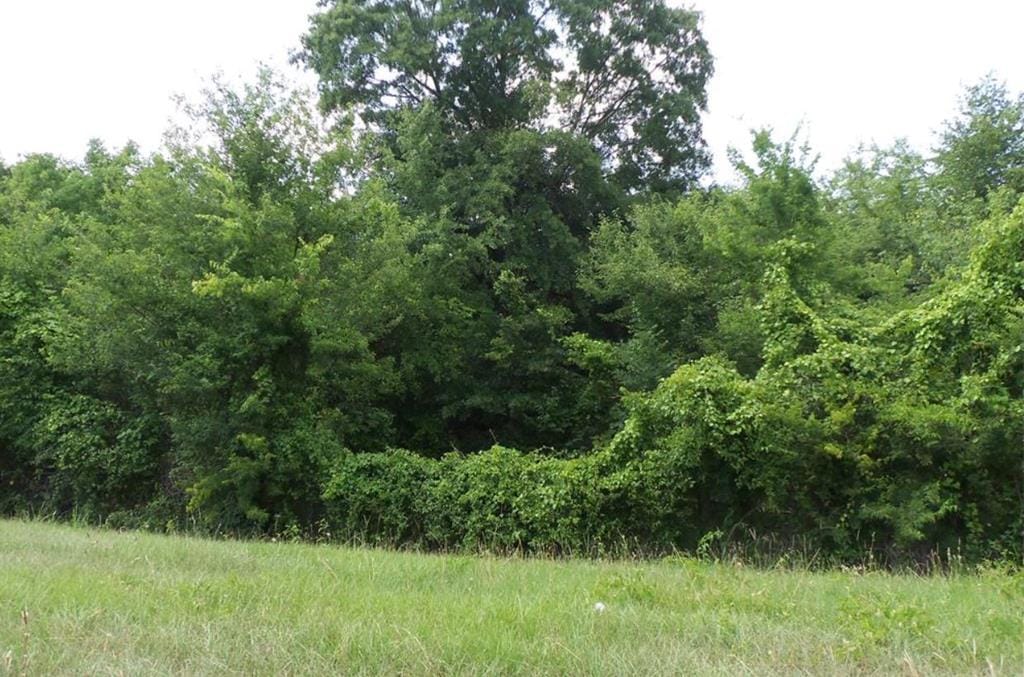 876 Hightower Road, Macon, GA, 31206 — Photo 3