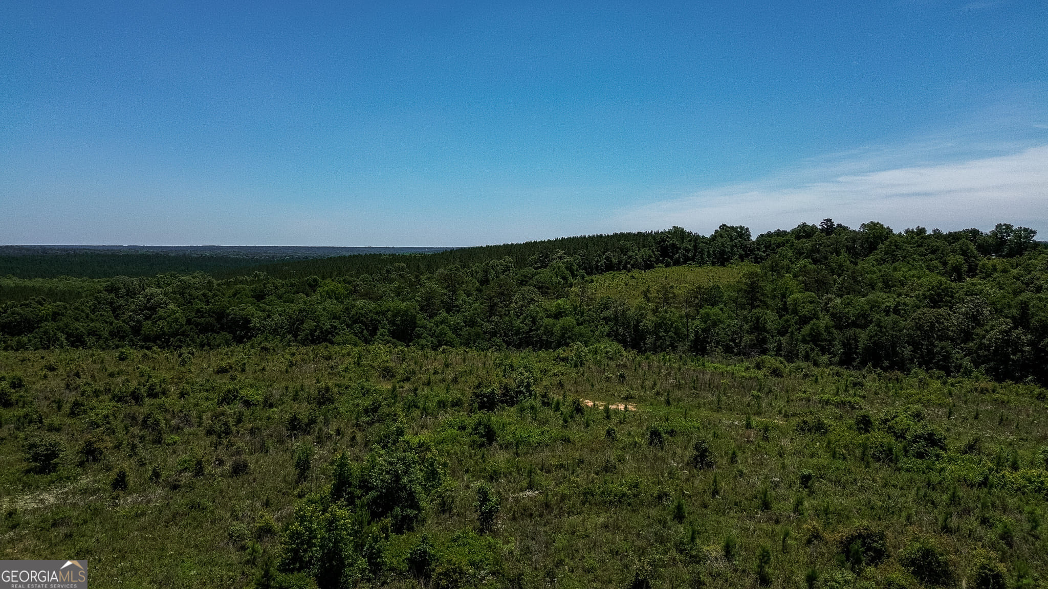 6687 Green Grove Road, Lumpkin, GA, 31815