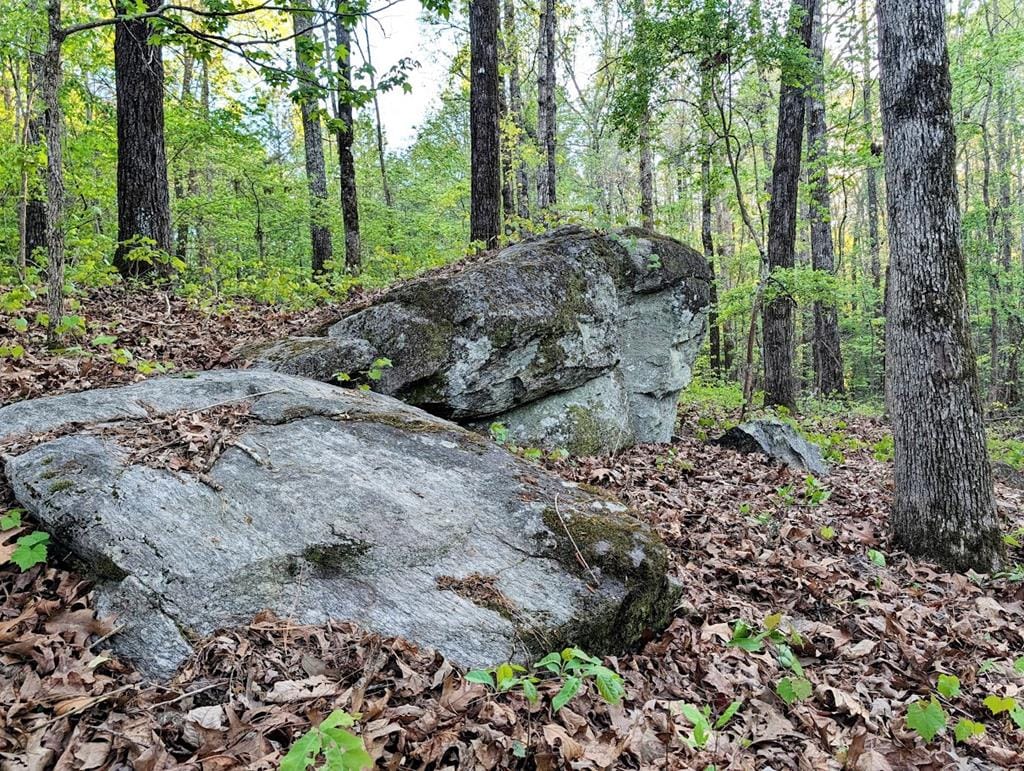 0 Ga Highway 0116, Hamilton, GA, 31811