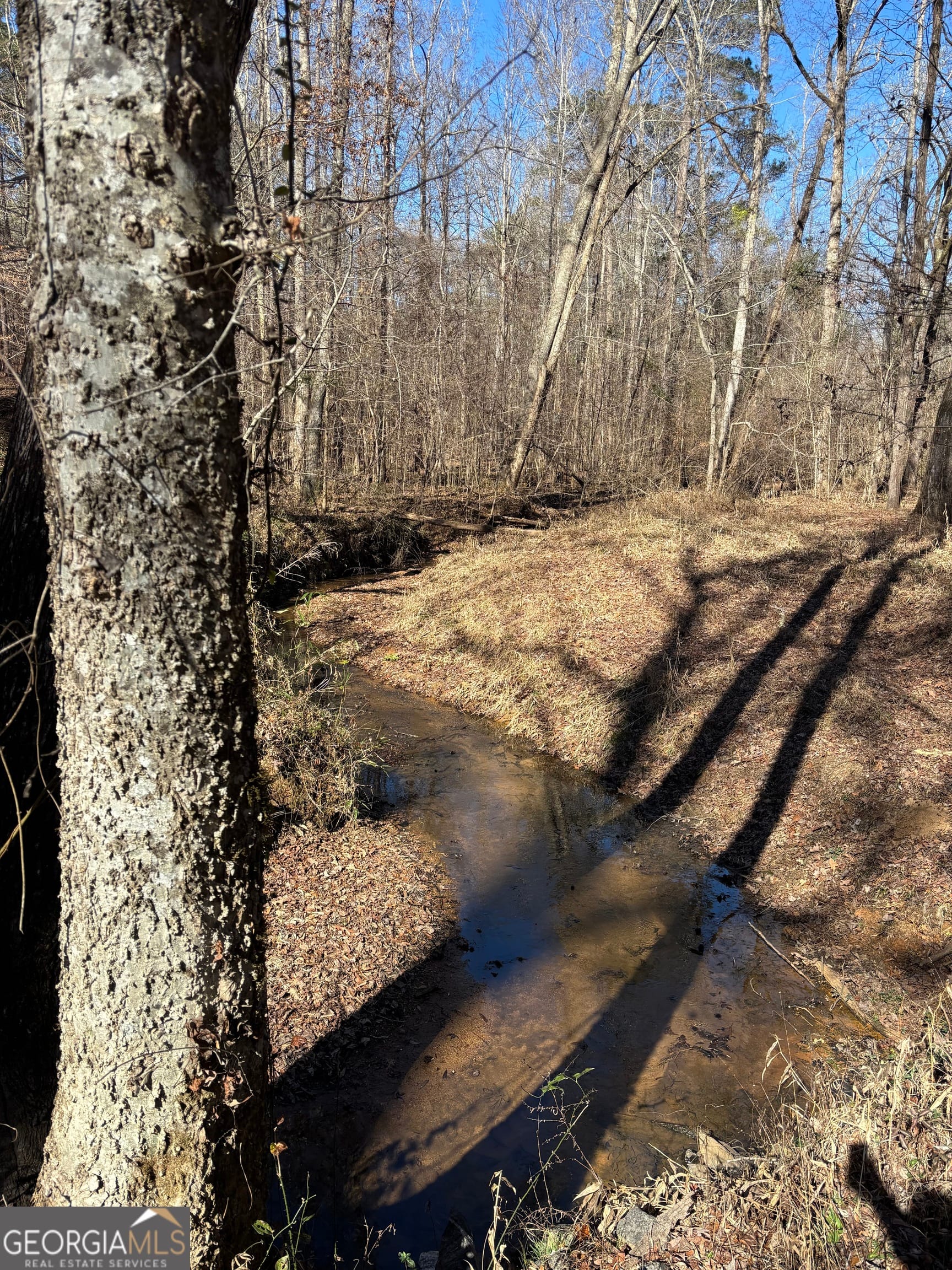 0 Carl Mathis, Talbotton, GA, 31827