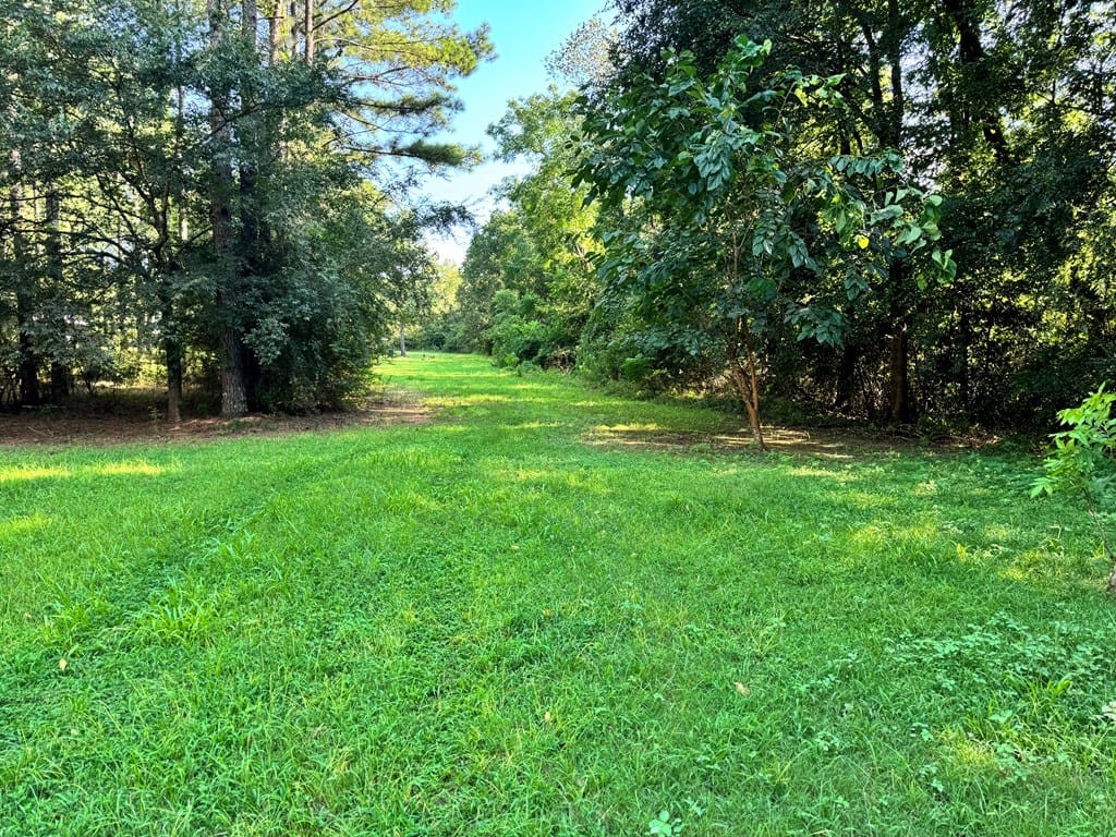 188 Tulip Lane, Edison, GA, 39813 — Photo 2