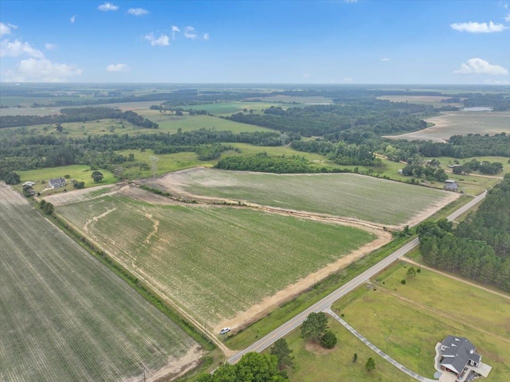 931 Bridgeboro Anderson City Road, Doerun, GA, 31744