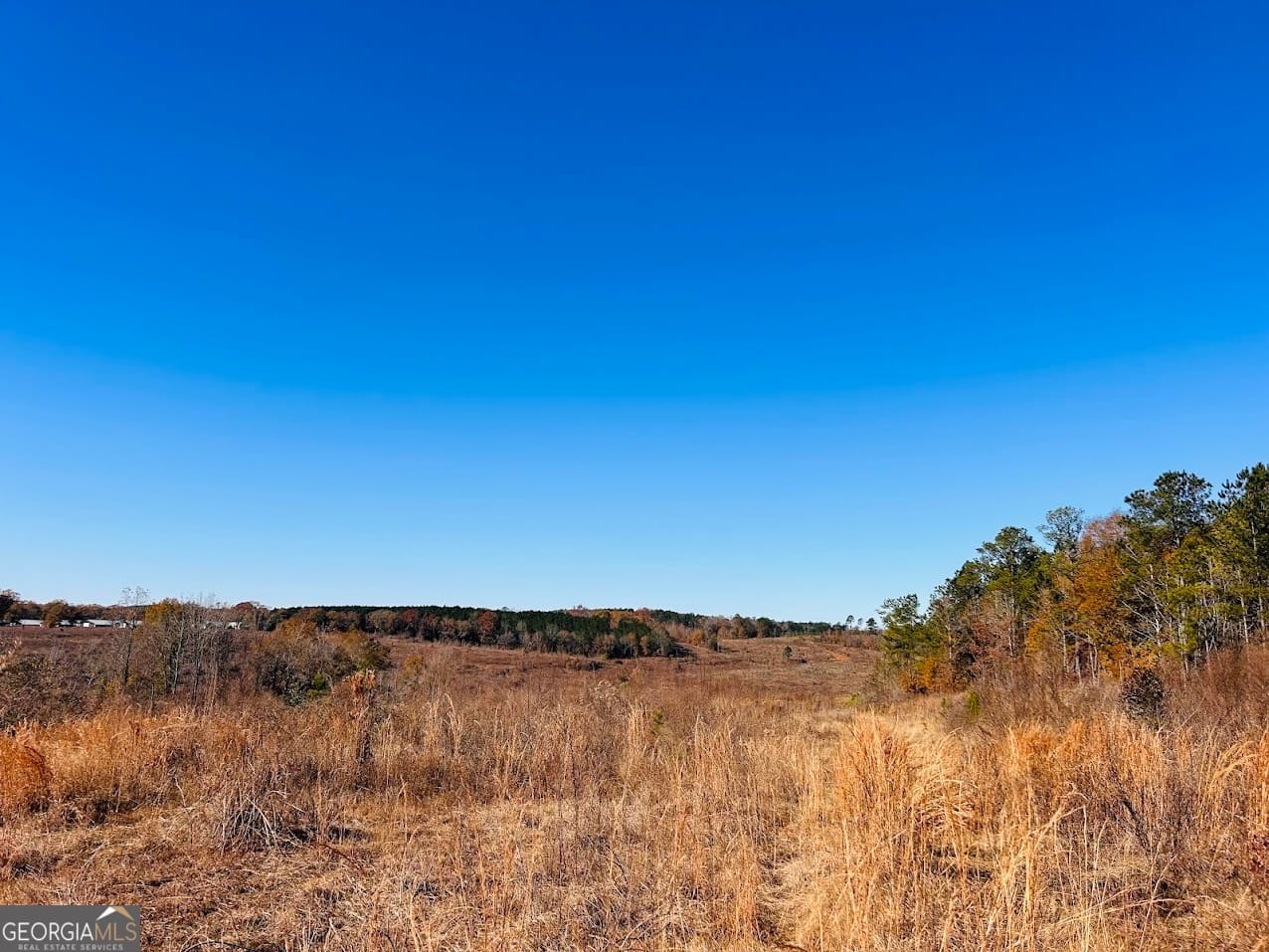 0 Jaye Road, Ellaville, GA, 31806