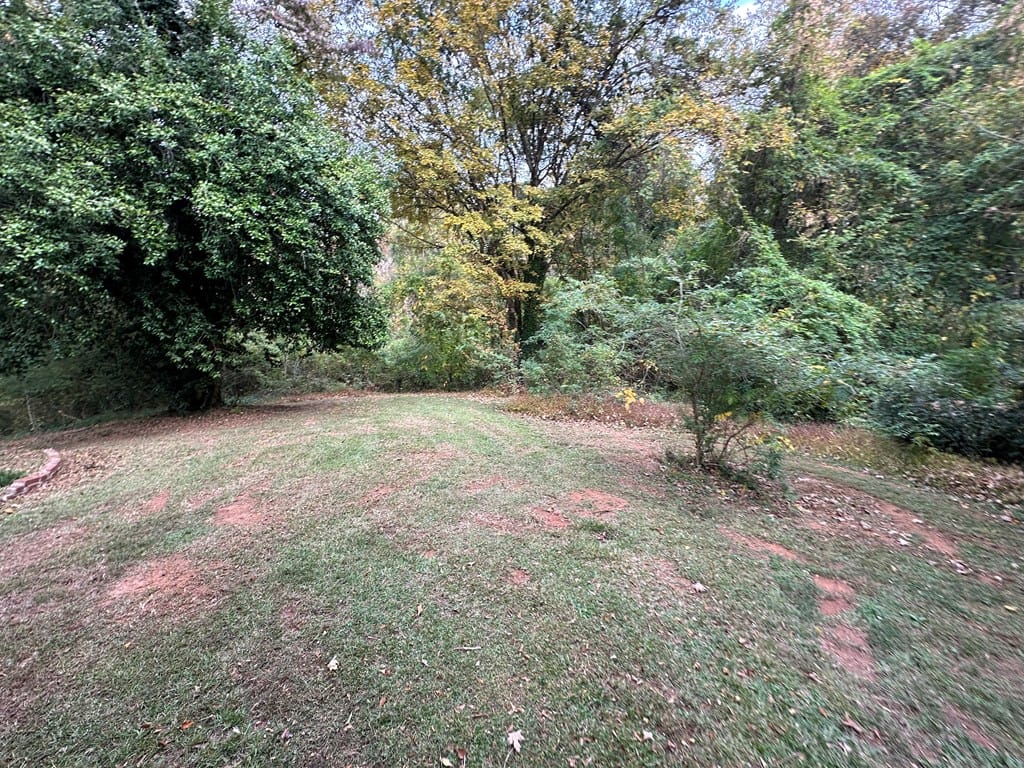 1570 Childress Drive, Atlanta, GA, 30311