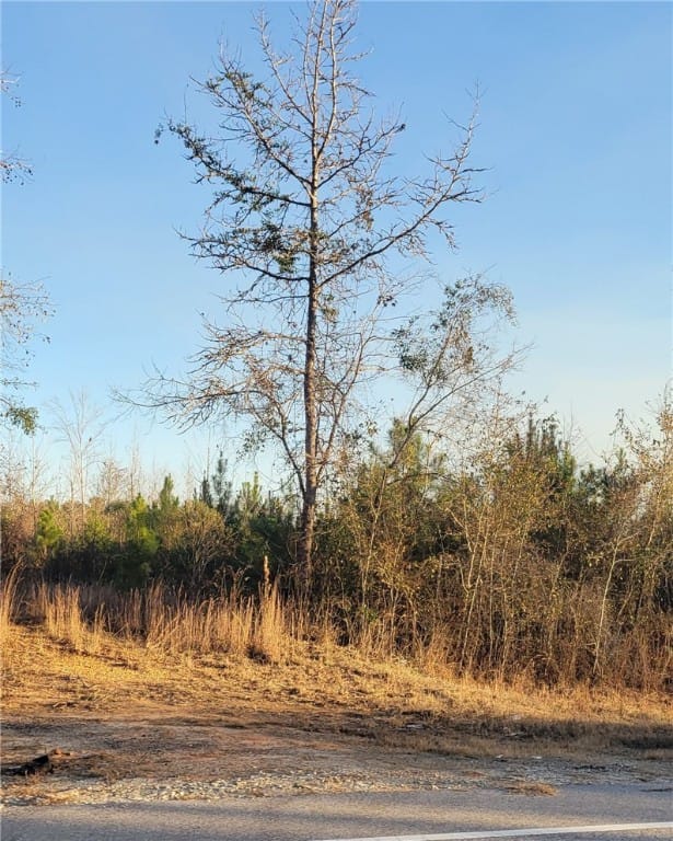 00 US HIGHWAY 29, Tuskegee, AL, 36083