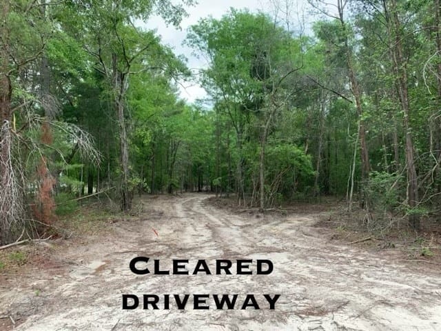 891 Connors Mill Road, Ellaville, GA, 31806 — Photo 3