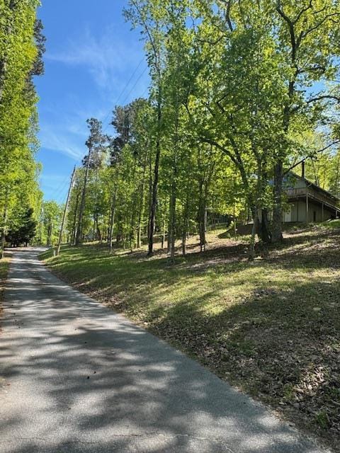 0 Royal Lodge Drive, Warm Springs, GA, 31830 — Photo 2