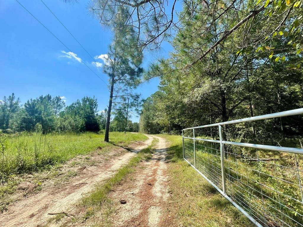 374 West Blvd, Poulan, GA, 31781