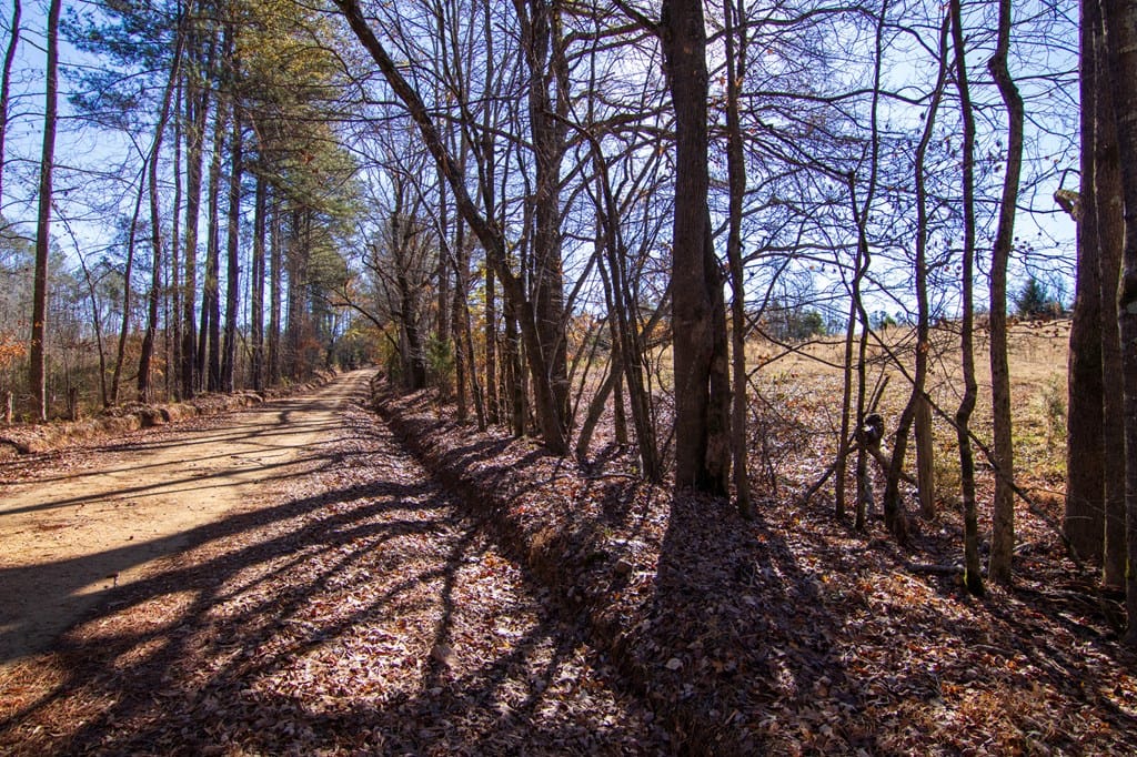 Tract 2 - 0 Saint Paul Church Road, Shiloh, GA, 31826 — Photo 2