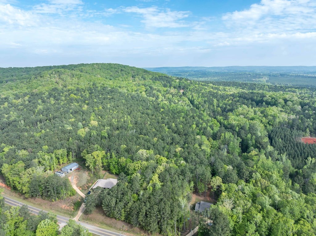 2083 Johnson Mill Rd, Hamilton, GA 31811, Aerial View of 5 Acres, Breathtaking views and so much