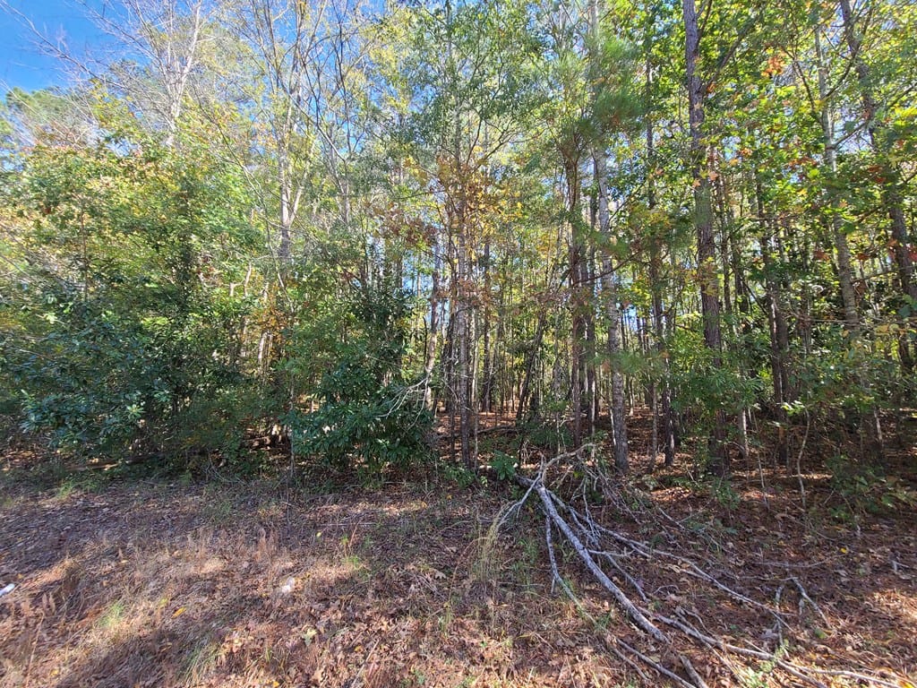 LOT 90 E Lakeshore Drive, Waverly Hall, GA, 31831