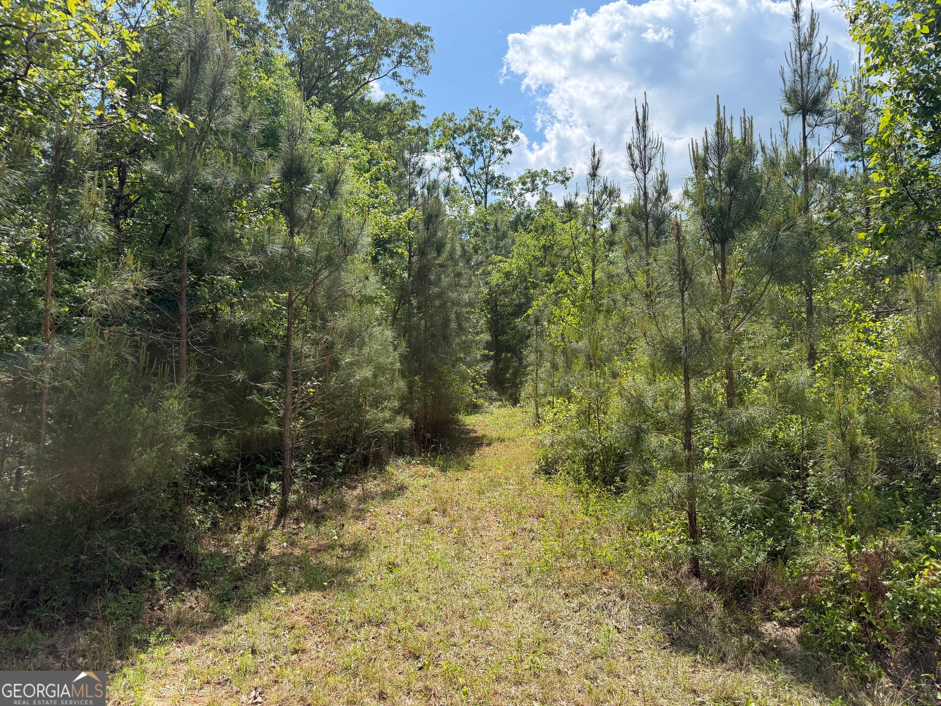 1 George Milling Rd, Cuthbert, GA 39840