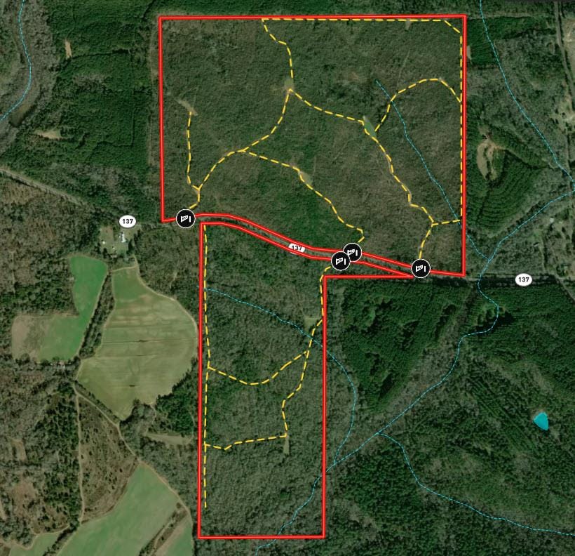 337+/- ac Ga Highway 0137, Buena Vista, GA, 31803