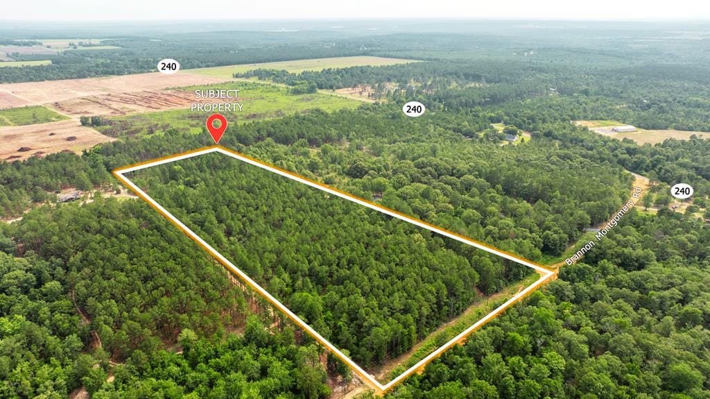 11.36 AC Brannon Montgomery Road, Mauk, GA, 31058