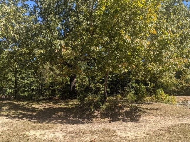 354 Lee Road 432, Smiths Station, AL, 36877 — Photo 2