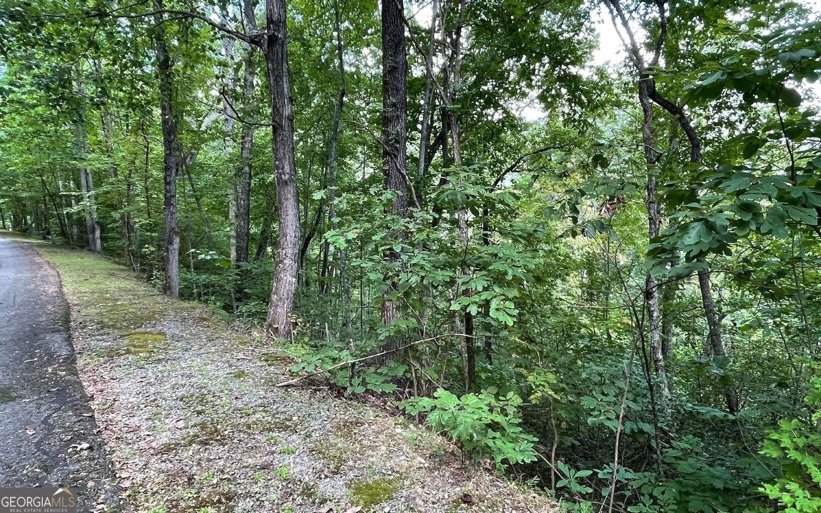 LOT 20 Enchanted Ridge, Hayesville, NC, 28904