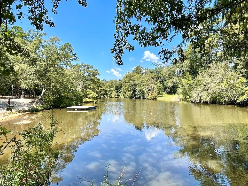 172 Old Hickory Drive, Leesburg, GA, 31763 — Photo 2