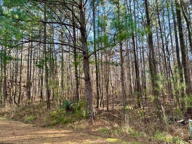 Lot 12 Oak Ridge Drive, Waverly Hall, GA, 31831