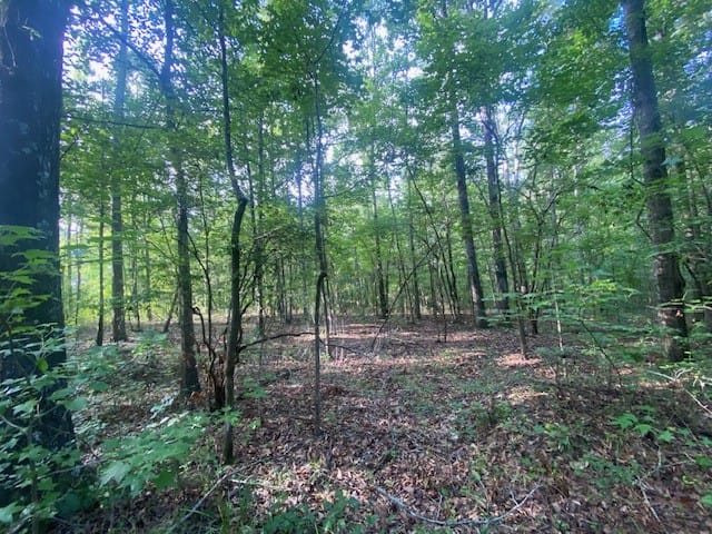 0 Windwood Drive, Lanett, AL, 36863