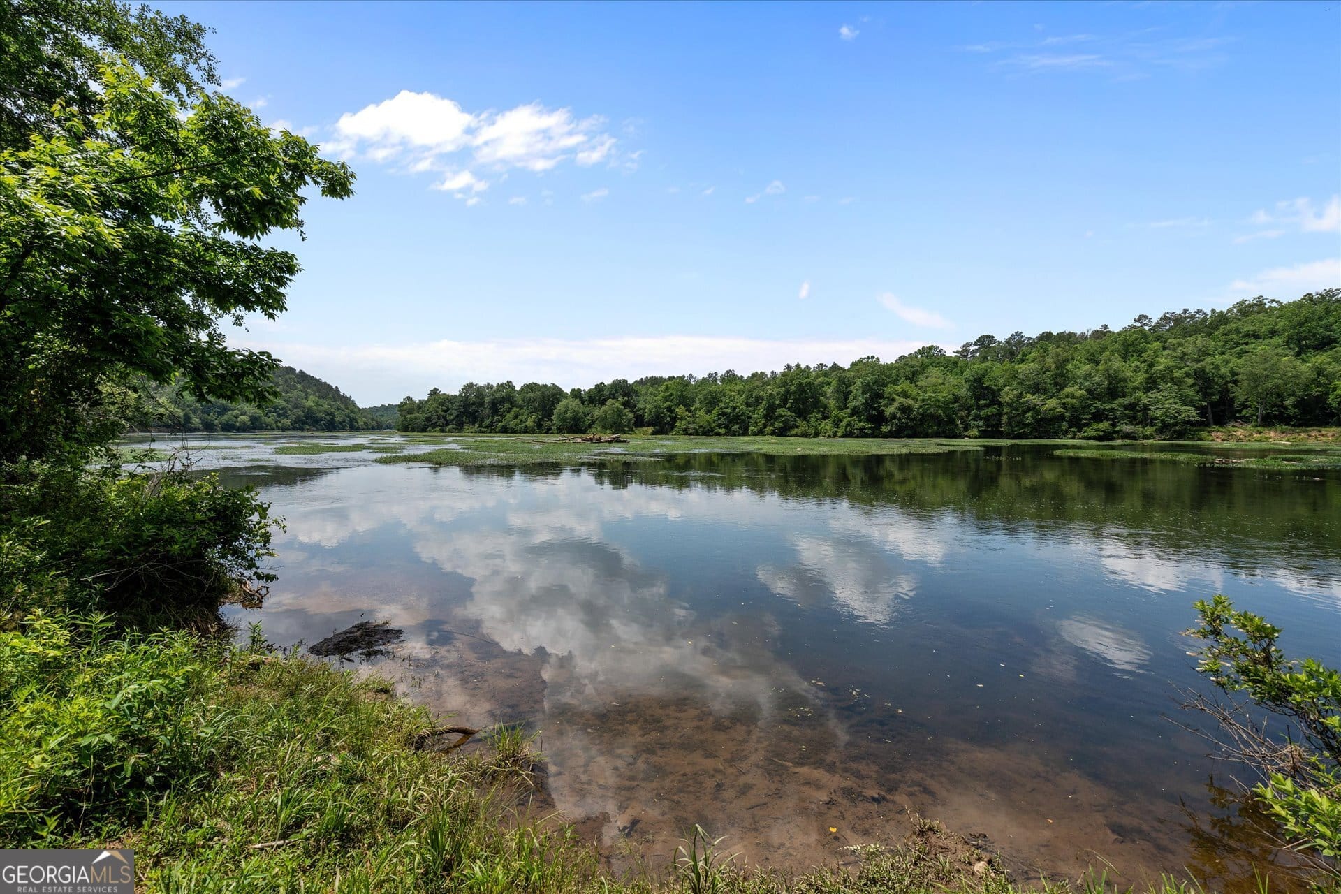 1456 Co Rd 854, Wadley, AL 36276, USA