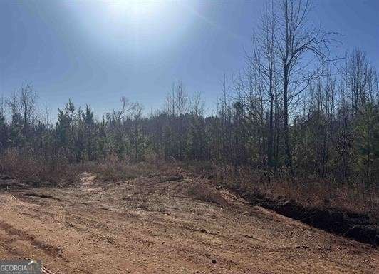 1661 County Road 637, Roanoke, AL, 36274
