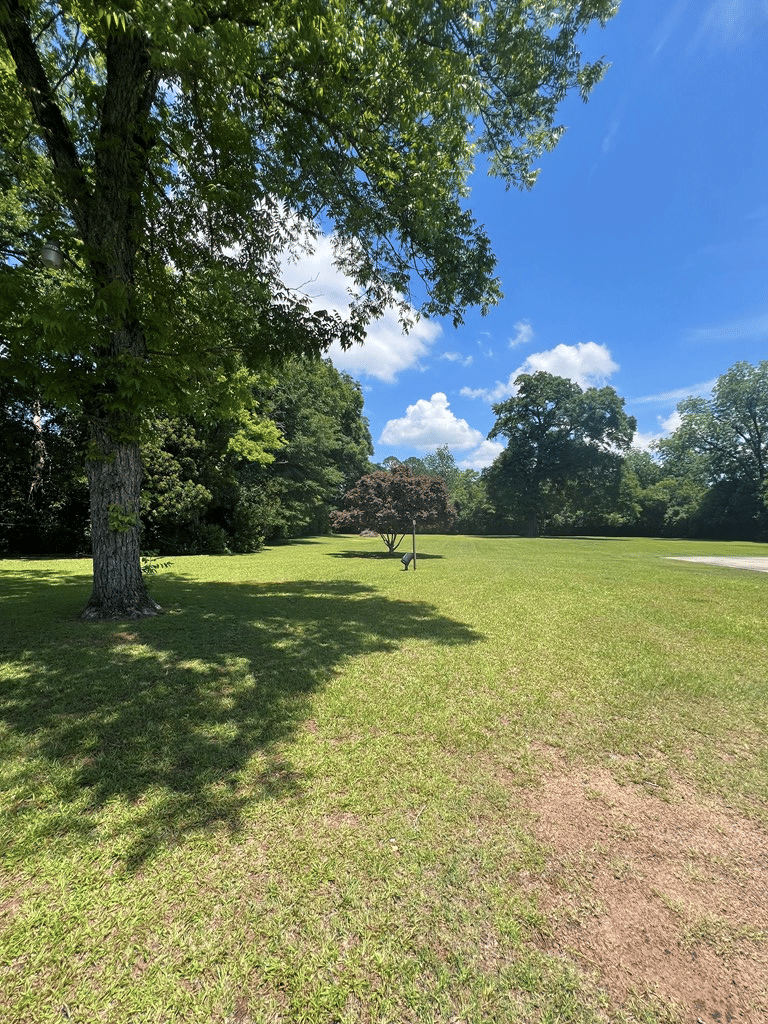 3468 Pearl Street, Shellman, GA, 39886
