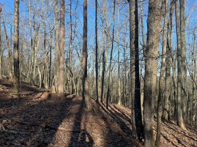 00Lot3 Mountain Ridge Drive, Waverly Hall, GA, 31831 — Photo 2