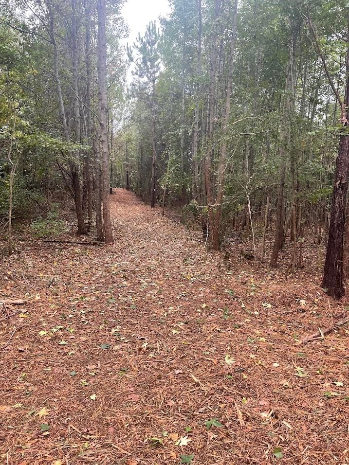 Lot 2A-1 LEE ROAD 155, Salem, AL, 36874