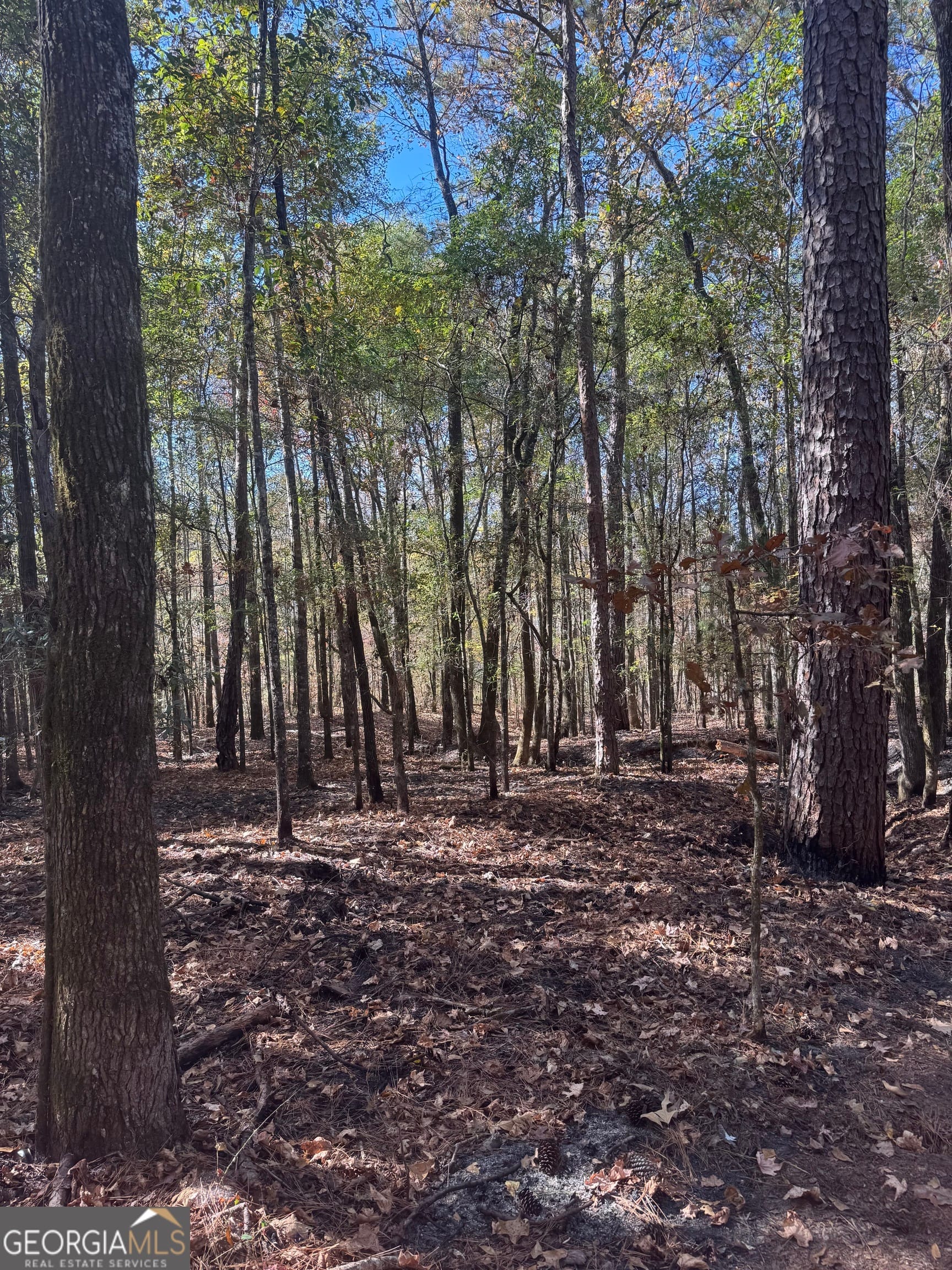 157 W Drummond Rd, West Point, GA 31833